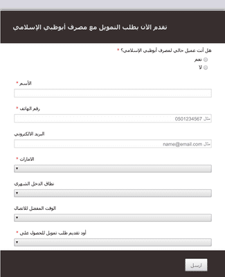 Arabic Financial Application Form RTL CSS