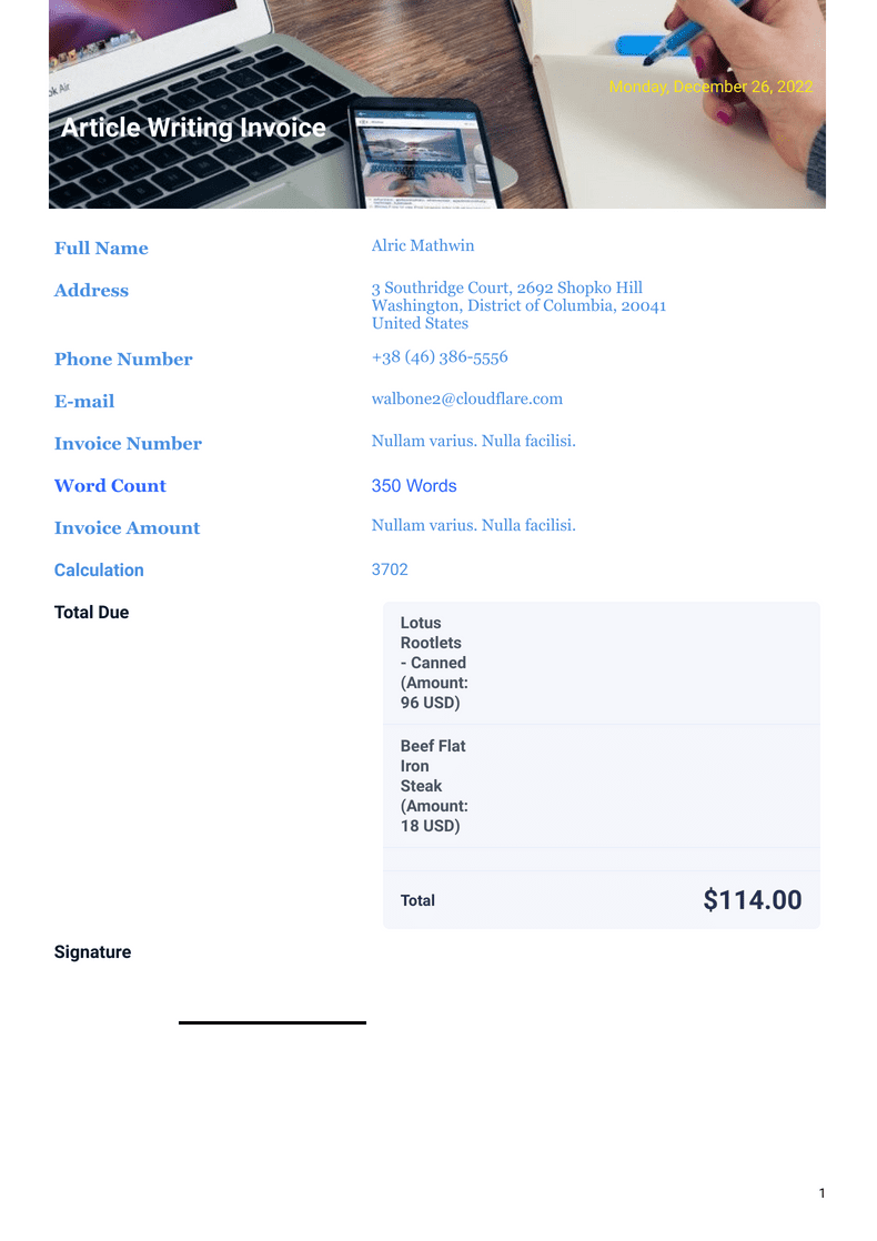 Article Writing Invoice Template