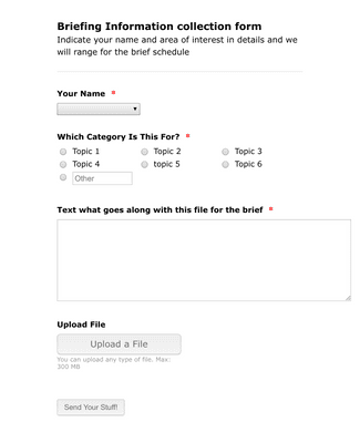 Briefing Form Template | Jotform