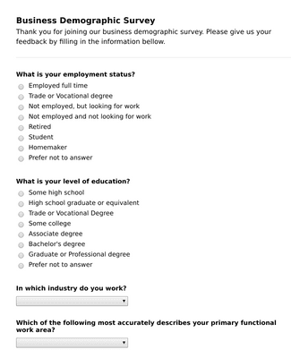 Business Demographic Survey Form Template | JotForm