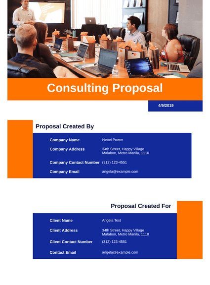 Consulting Proposal