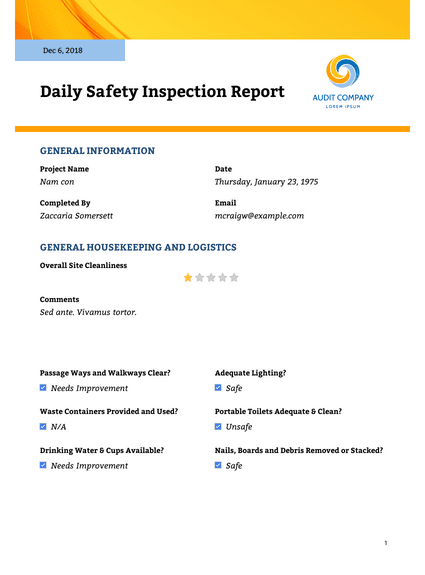 Daily Safety Inspection Report