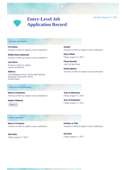 Entry-Level Job Application Record