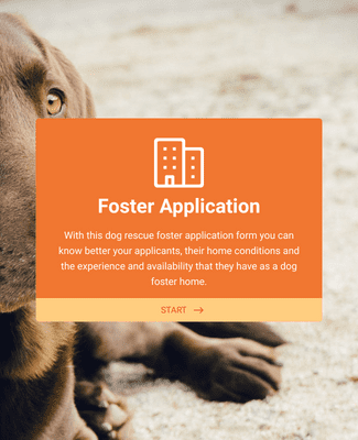 Form Templates: Foster Application Form