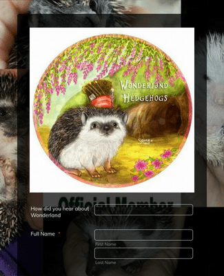 hedgehog Adoption Application form