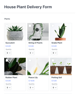 House Plant Delivery Form