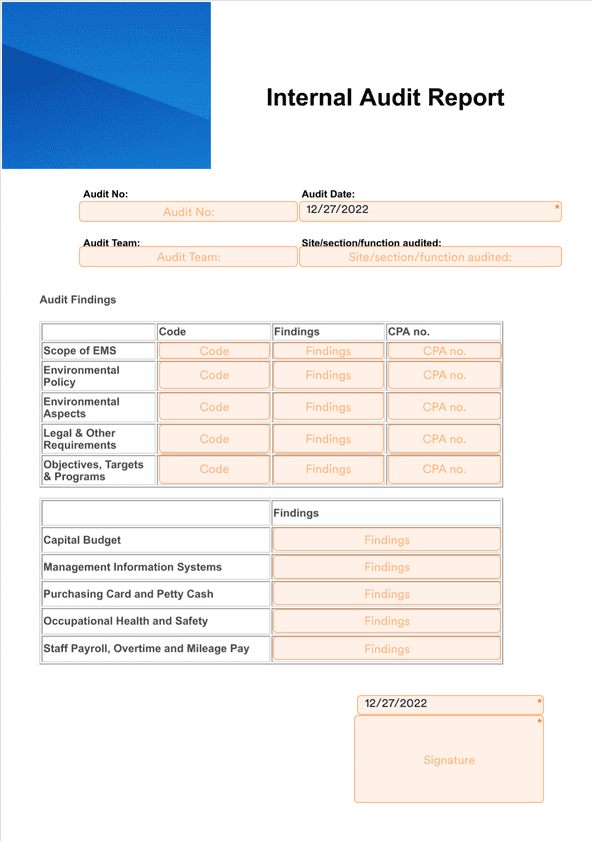 Internal Audit Report Template Sign Templates Jotform