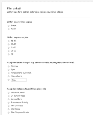 Form Templates: İnternet Sitesi Geribildirim Anketi