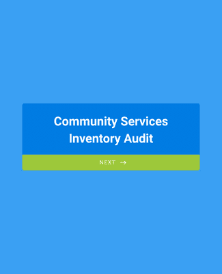 Form Templates: Inventory Audit Checklist
