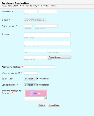 Quick and Easy Job Application Form Template | Jotform