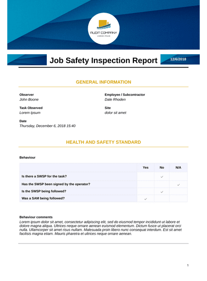 Job Safety Inspection Report