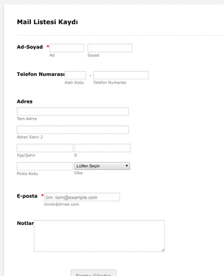 Form Templates: Mail Listesi Kayıt Formu