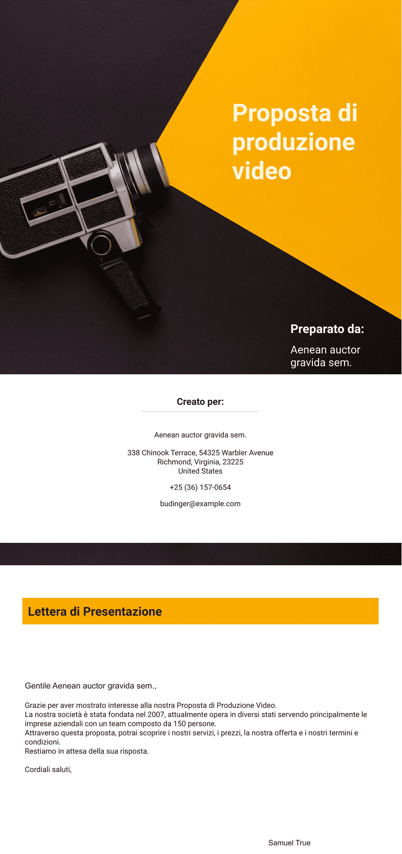 PDF Templates: Modello di proposta di produzione video