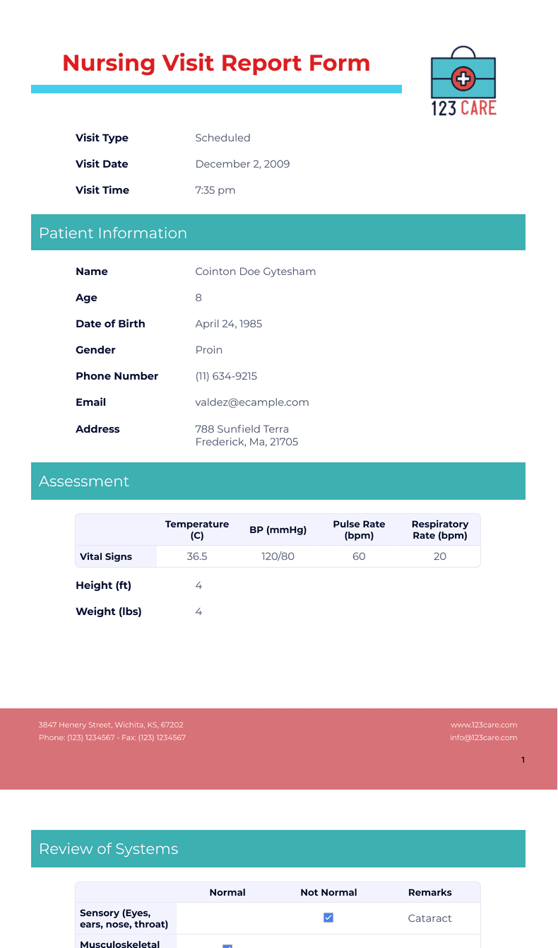 Nursing Visit Report Form Template PDF Templates Jotform