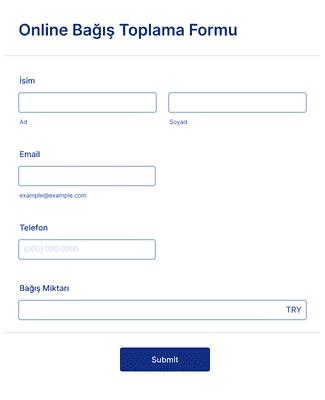 Form Templates: Online Bağış Toplama Formu