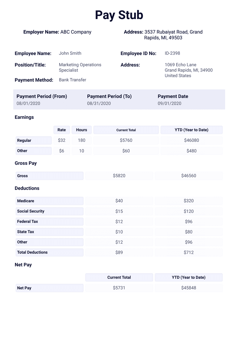 Real Pay Stub Template