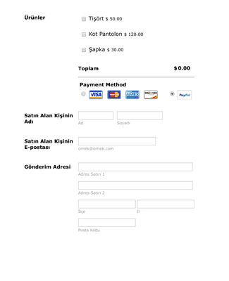 Form Templates: PayPal Payments Pro Ödeme Formu