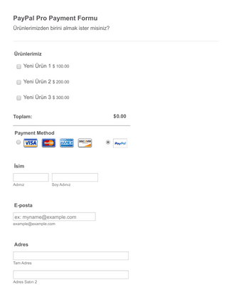 Form Templates: PayPal Pro Ödeme Formu