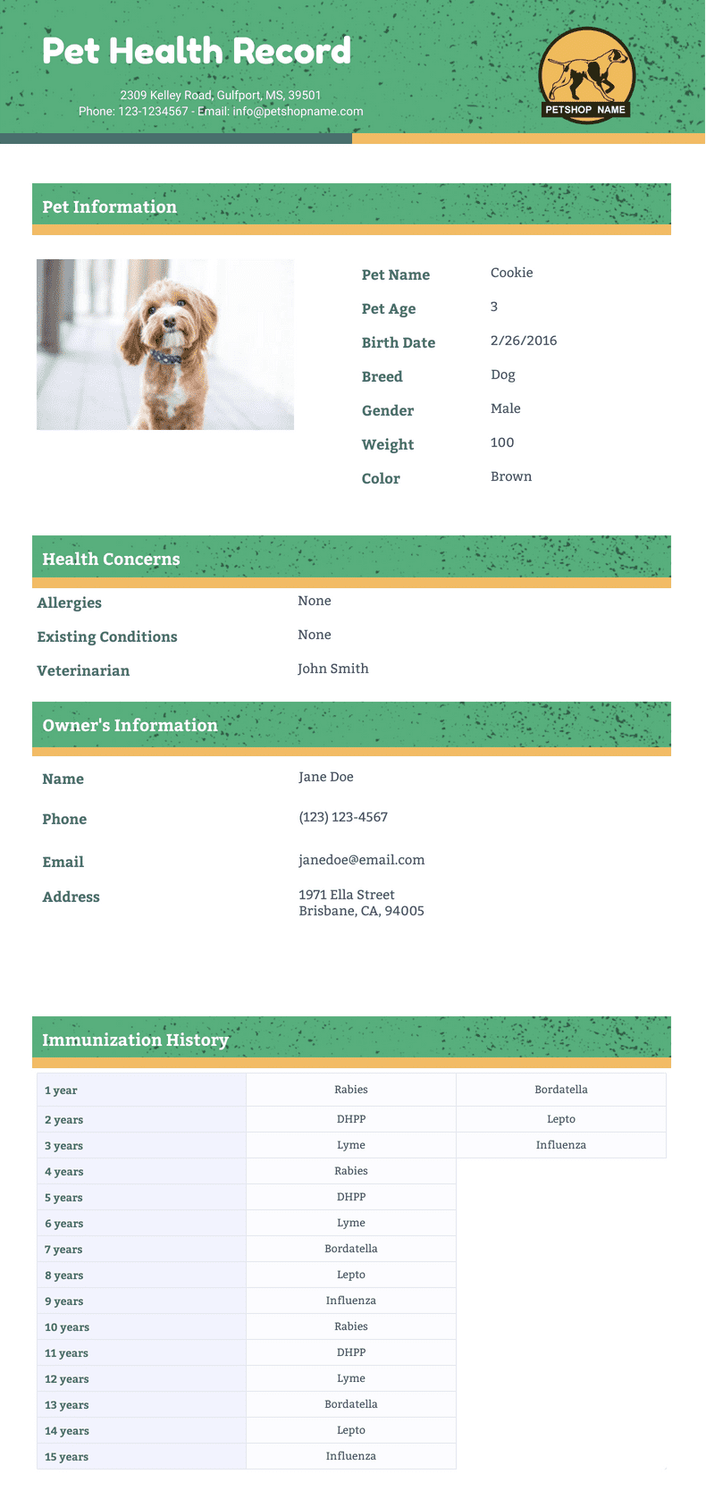 Pet Health Record Template