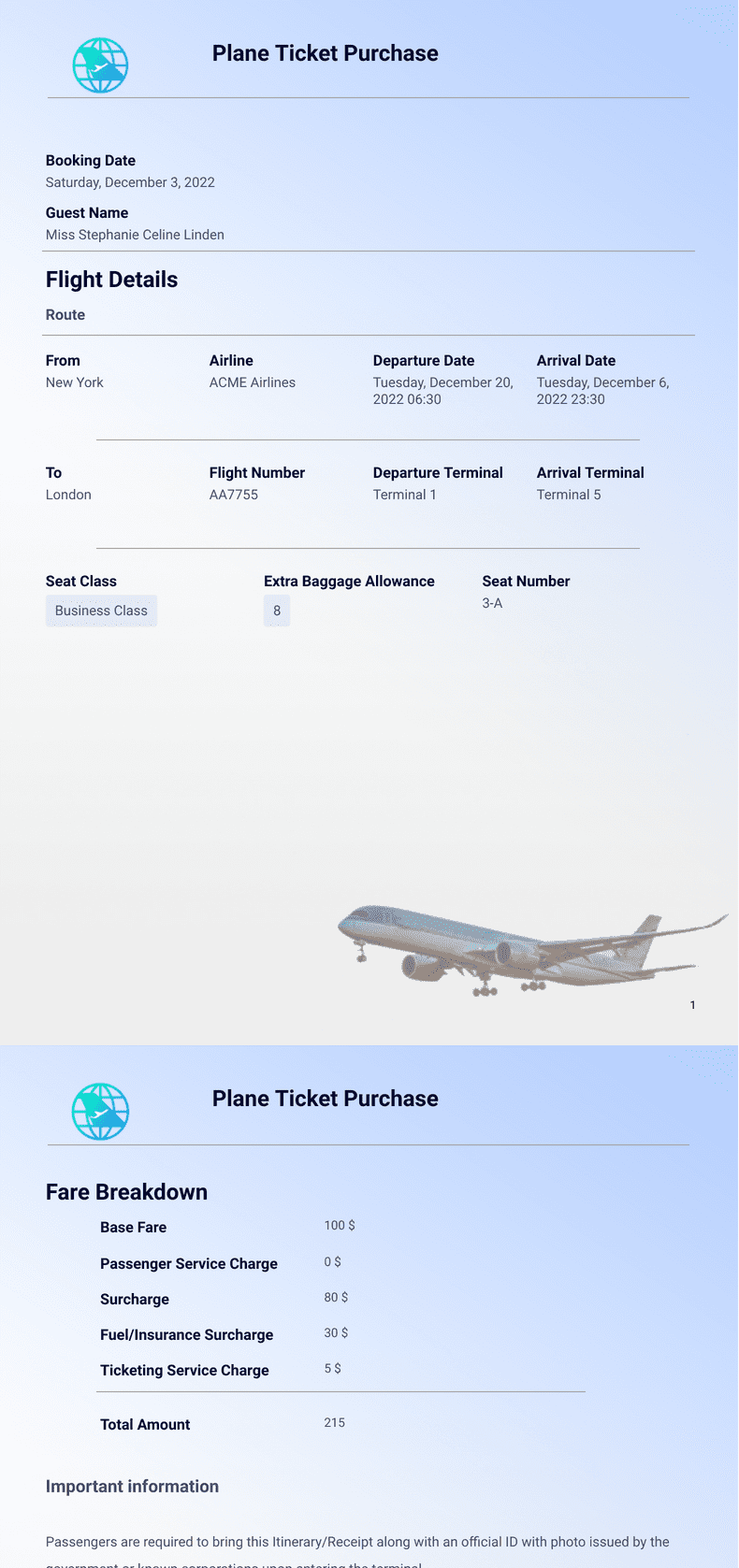 american airlines plane ticket template