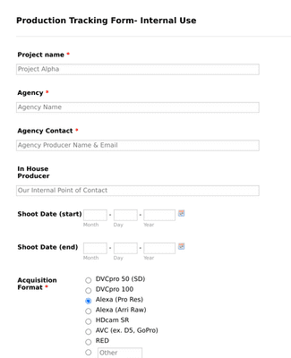 Post Production Tracking Form Template 