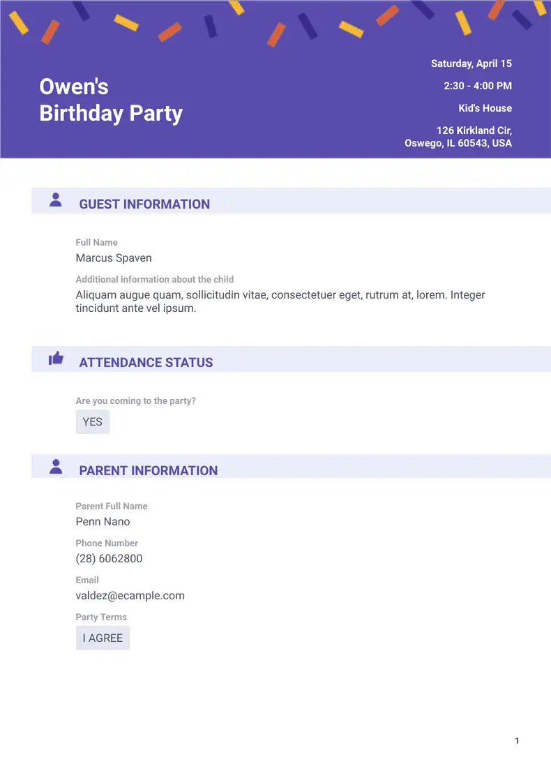 Professional Birthday Party Invitation
