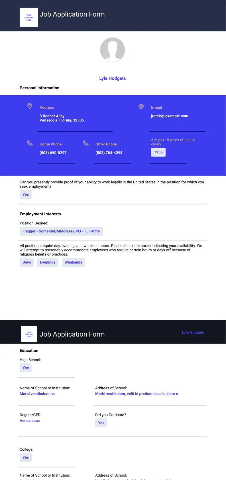 Professional Job Application Record