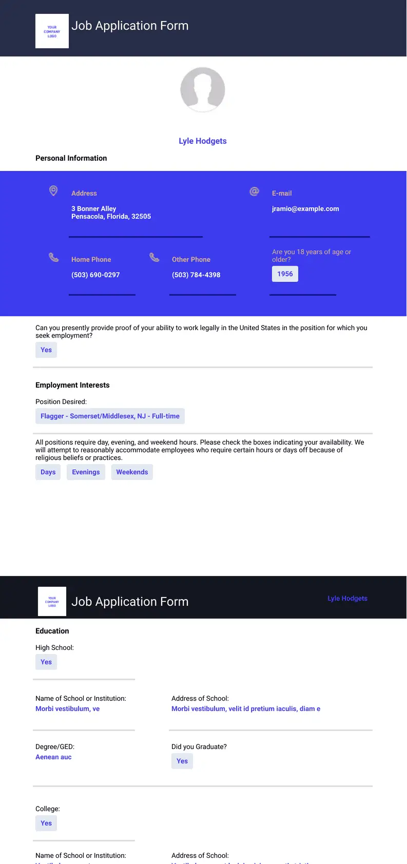 Professional Job Application Record Template - PDF Templates | Jotform