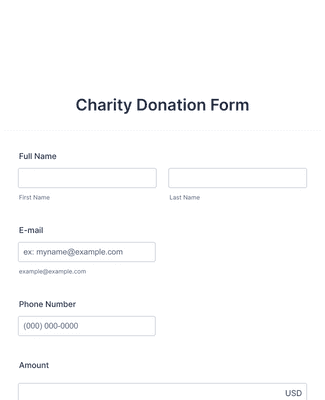 Form Templates: Responsive Charity Donation Form