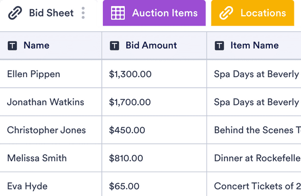 Silent Auction Pro - Online Bidding Detail Page