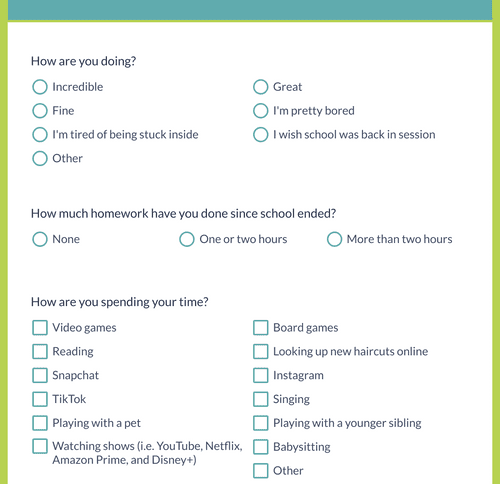 Questionnaire Examples For Students