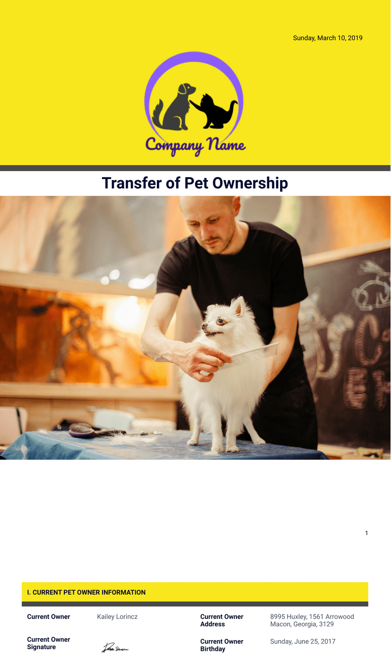 Transfer of Pet Ownership Template PDF Templates Jotform