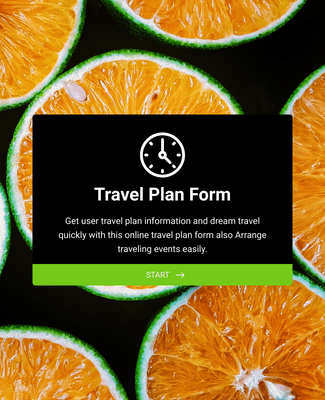 Travel Plan Form