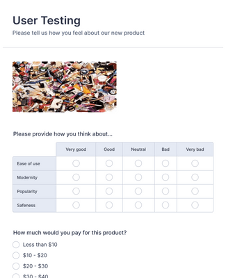 User Testing Survey Form Template | Jotform
