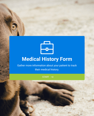 Form Templates: Veterinary Intake Form