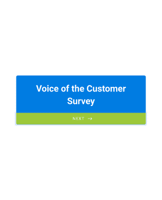 Form Templates: Voice of the Customer Survey