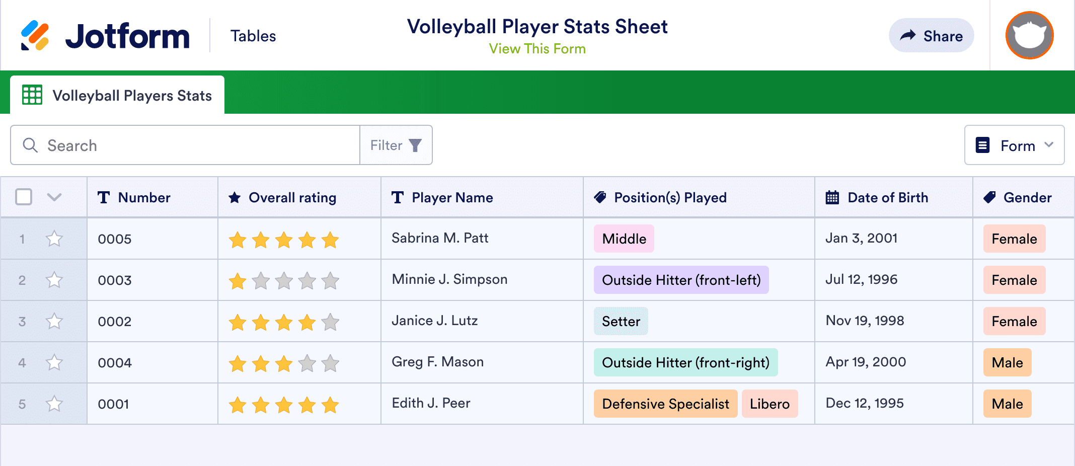 Volleyball Player Stats Sheet