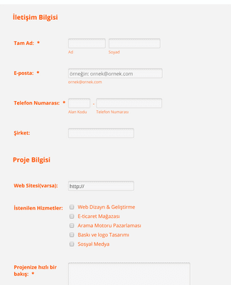 Form Templates: Web Tasarım Teklifi