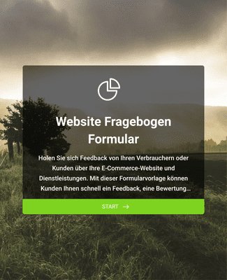 Form Templates: Website Fragebogen Formular