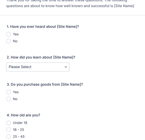 Questionair Website Example Questionnaire Template