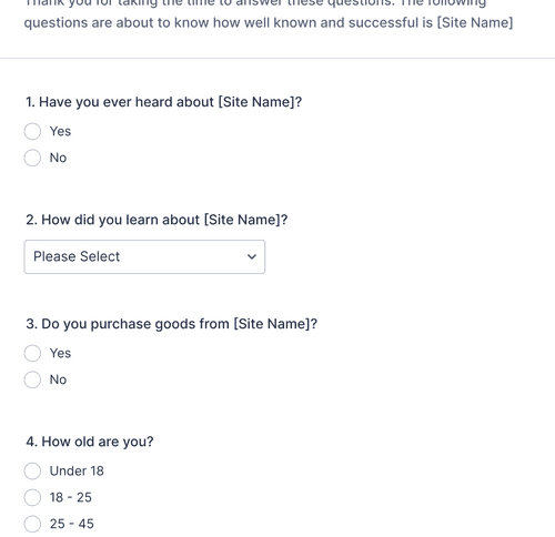 Website Questionnaire Form