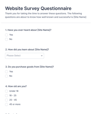 Website Questionnaire Form