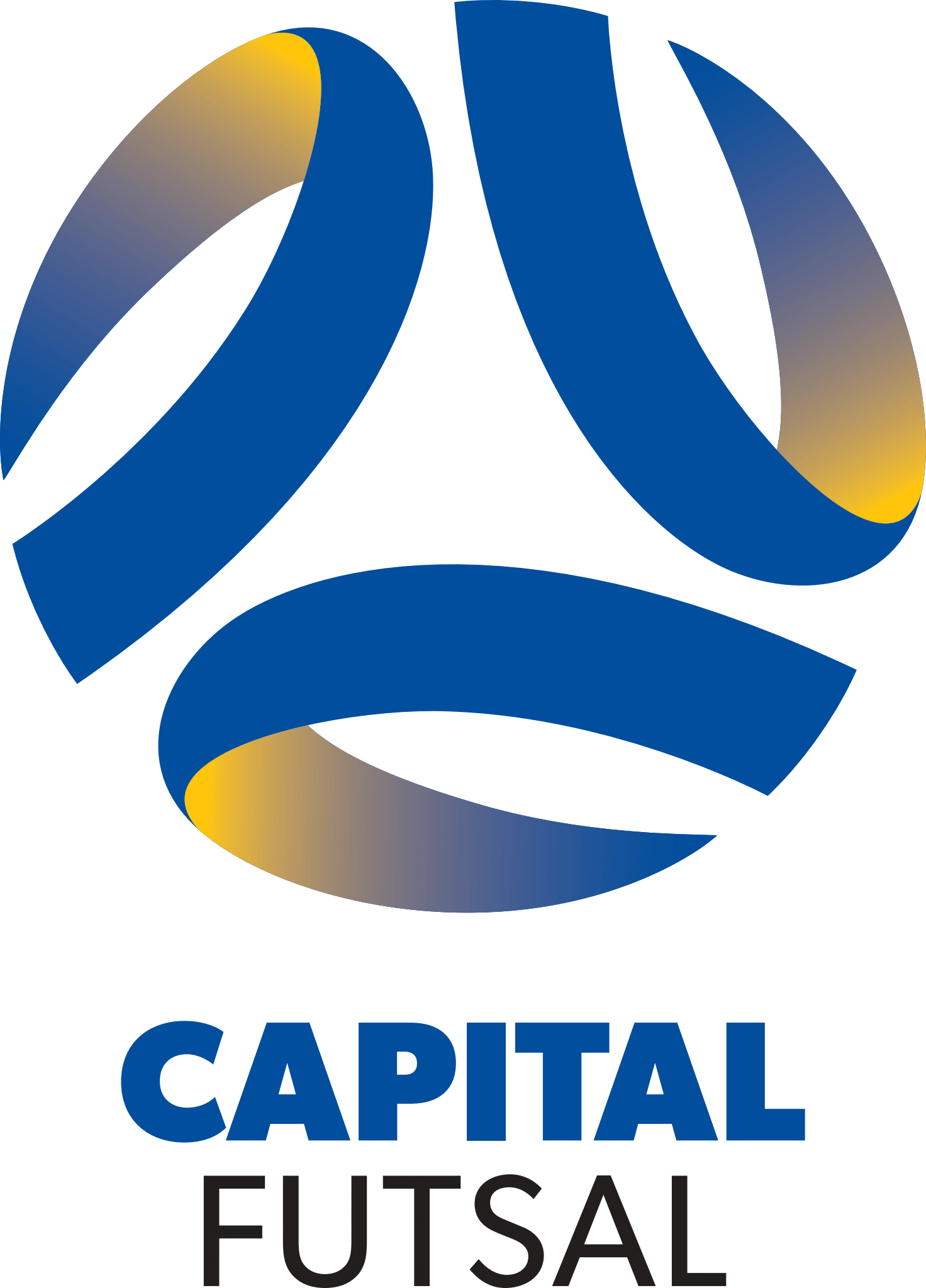2026 Winter Senior Futsal League EOI