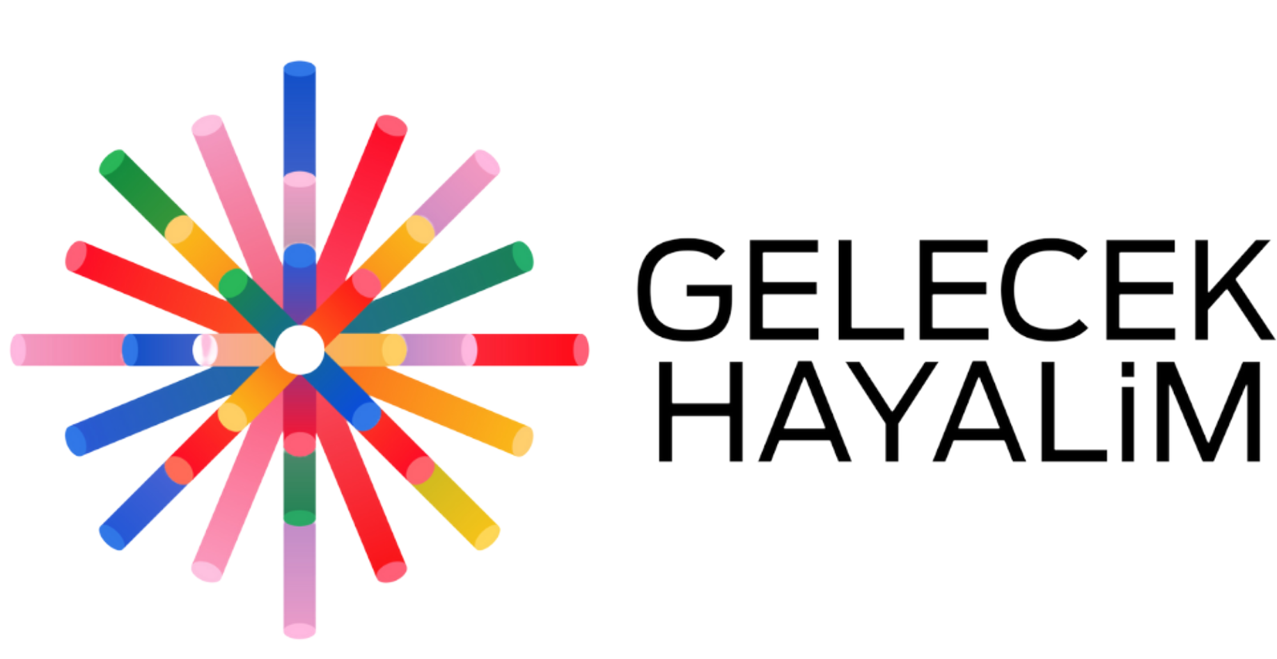 Gelecek Hayalim SKYÇD Topluluk Buluşmaları 3-Sosyal Girişimcilik Kayıt Formu Logo
